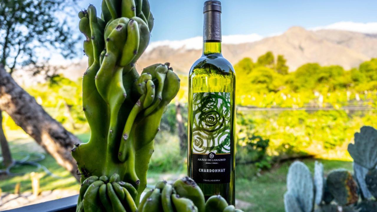 Araoz De Lamadrid Hotel&Bodega San Javier  Εξωτερικό φωτογραφία