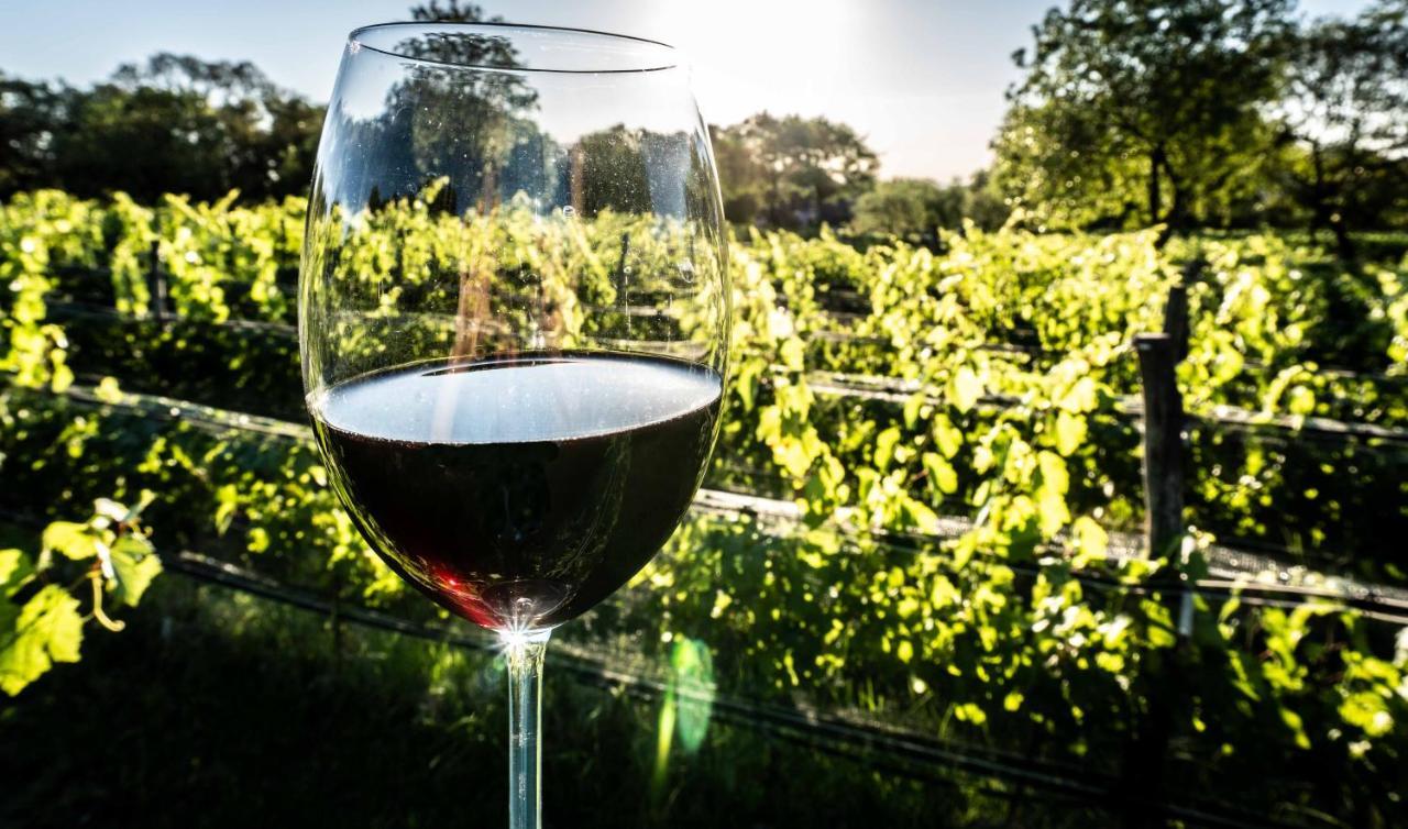 Araoz De Lamadrid Hotel&Bodega San Javier  Εξωτερικό φωτογραφία