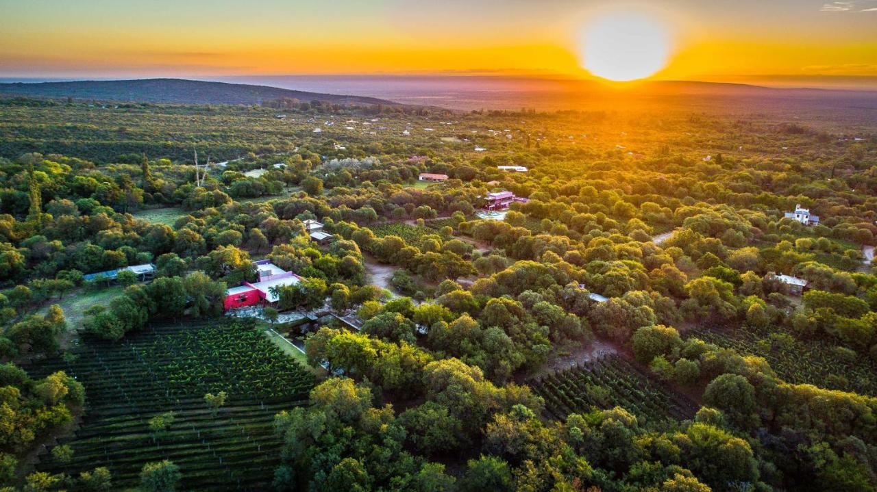 Araoz De Lamadrid Hotel&Bodega San Javier  Εξωτερικό φωτογραφία